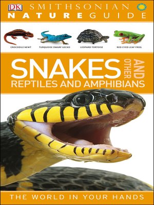 cover image of Nature Guide